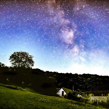 컬럼턴 The Roost - A Bird'S Eye View In The Countryside 아파트 외부 사진