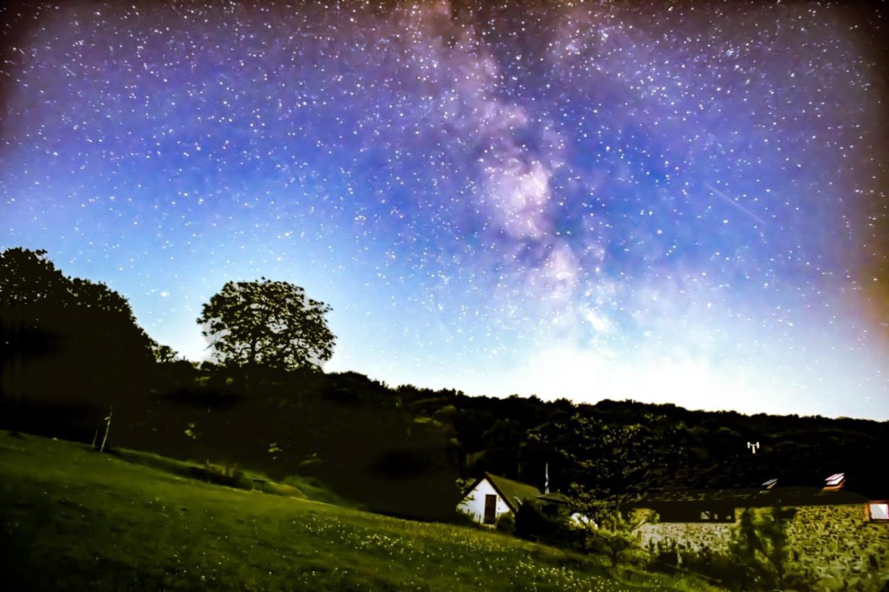 컬럼턴 The Roost - A Bird'S Eye View In The Countryside 아파트 외부 사진